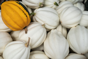 Close-up of orange and white acorn squash at farmer's market