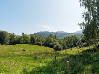 Fototapeta na wymiar In Schönau im Schwarzwald mit tollen Aussichten in ruhiger Natur, wunderschöne Naturlandschaft und blau Himmel