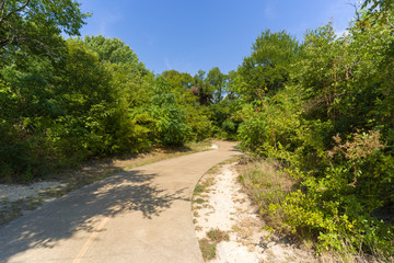 Fototapeta na wymiar Concrete path in a park on a sunny summer day