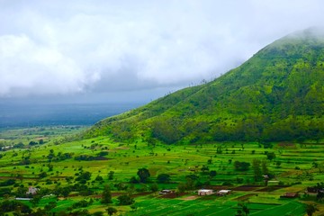 Obraz premium green landscape