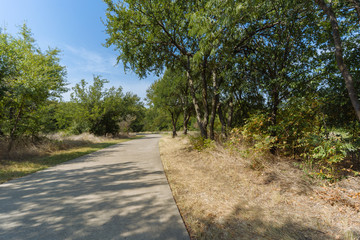 Concrete path in a park on a sunny summer day