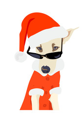 santa claus dog