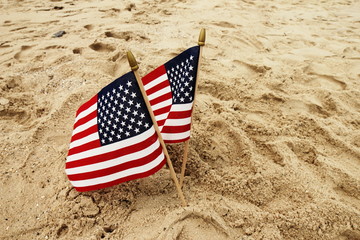 American Flags standing on the beach 