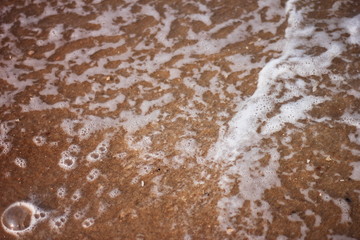 foamy water washing over a sandy beach