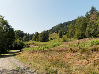 Fototapeta na wymiar In Schönau im Schwarzwald mit tollen Aussichten in ruhiger Natur, wunderschöne Naturlandschaft und blau Himmel, entlang des idyllischen Philosophenweg und Letzbergweiher