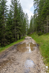 Fototapeta premium Dolomites - Cortina D'Ampezzo - Italy