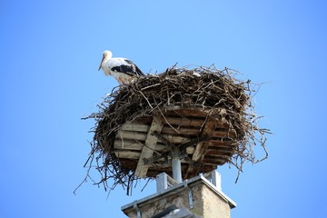 Stork nest against blue sky