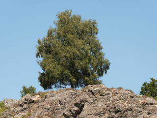 In Sch&ouml;nau im Schwarzwald mit tollen Aussichten in ruhiger Natur, wundersch&ouml;ne Naturlandschaft und blau Himmel, entlang des idyllischen Philosophenweg und Letzbergweiher