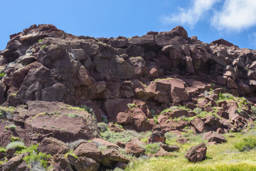 Grass, daisies and red rocks on a summer sunny day. Road to the red beach, Santorini island, Greece.