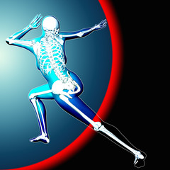 3d medical image with skeleton