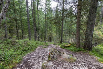 Dolomites - Cortina D'Ampezzo - Italy