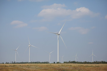 Fototapeta premium wind generators in the field. windmills