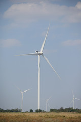 wind generators in the field. windmills