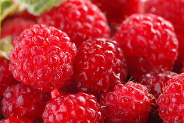 fresh raspberries with mint in a white Cup