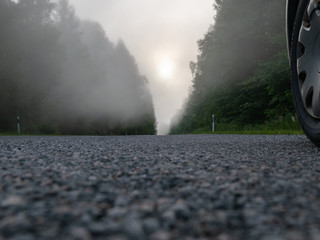 foggy morning, tree outline in background, poor visibility, rough texture, dim sunlight through fog