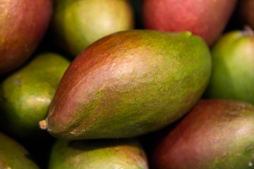 Sweet tropical fruit, juicy mangoes at farmer's market close-up.