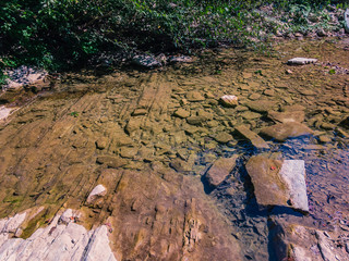 Pure clear water of a mountain stream flows along a rocky shore with green vegetation on a sunny summer day in the shade of trees.