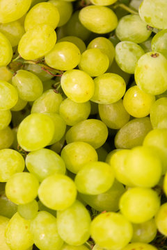 Close-up of bright green grape bunch, exitic fruit, berry background.