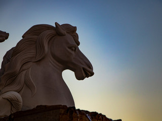 horse on background of blue sky