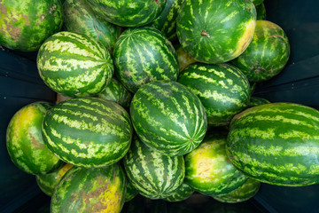 Striped ripe watermelon background ar farmer's market or grocery store aerial top view.