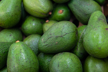Ripe delicious avocado background top view. One seed berry rich in healthy fats