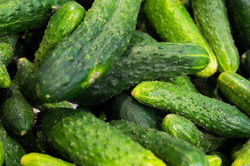 Freshly harvested small and big green vegetables in paper boxes on farmer's market shelves close-up. May be used as background in agriculture or food market topics