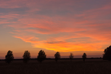 Fototapeta na wymiar Sunset at Nature Reserve in Schulzendorf, Brandenburg, Germany