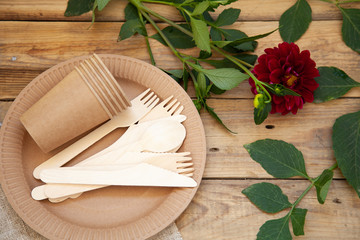 Eco-friendly disposable tableware, paper tableware. dishes for a picnic and camping, dishes, zero plastic, planet preservation, stop plastic