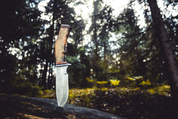 hunting knife in a tree trunk