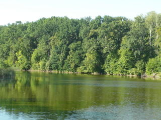 lake in the forest.
