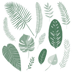 Fototapeta na wymiar tropical leaves set, vector flat design