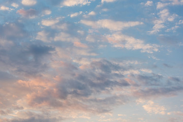 delicate pink clouds illuminated by morning sun, early morning