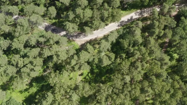 Aerial view japanese black car driving through green forest on country road. Summer forest with jdm car road. Captured from above by flying drone