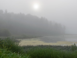 mist landscape, blurred contours, sun shining through mist, tree silhouette