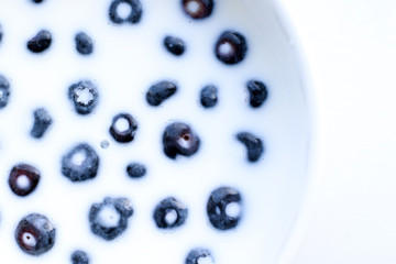 fresh blueberries with milk