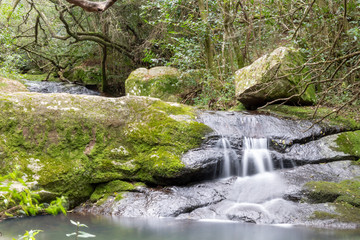 walking through the indigenous mountain, walk and excellent exercise in nature