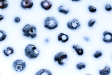 fresh blueberries with milk
