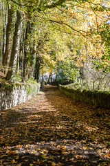 Quiet fall leaves cover a flat road with stone walls on each side and tall trees to the left near Doune Castle in Stirling Scotland United Kingdom