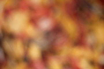 Natural red, orange and brown abstract bokeh background for Autumn and Thanksgiving