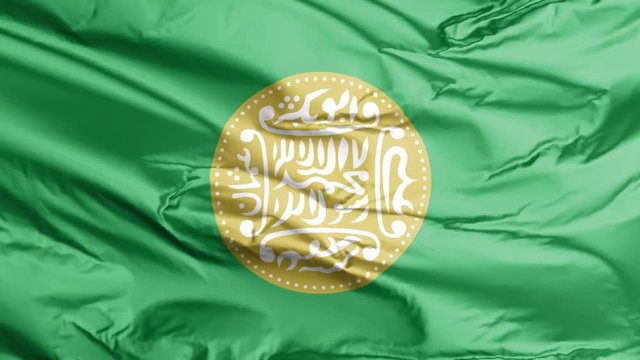 Seamless Looping flag of Rohingya, blowing beautifully in the wind. Slow  Motion. Rohingya flag animated 3D render 4K 60 FPS