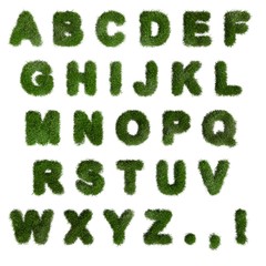 Green Grass Alphabet. English letters. Font