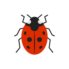 Ladybug ladybird bug single flat color vector icon