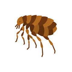 Flea insect parasite single flat color vector icon