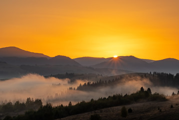Plakat Beautiful autumn landscape at sunrise g in Carpathian mountains, Ukraine