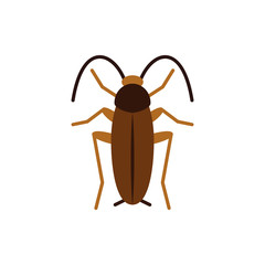 Cockroach roach pest single flat color vector icon