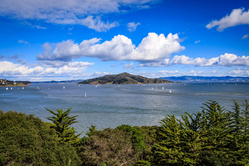 Fototapeta na wymiar View of Angel Island with water and lush trees in the foreground seen from a beach in Sausalito California