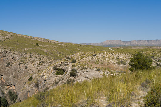 Beautiful alpine landscape, green mountain enviroment and blue sky in a sunny day