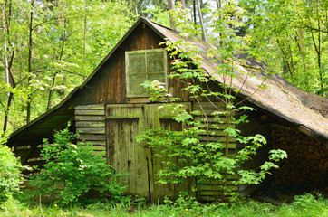 Hütte im Wald