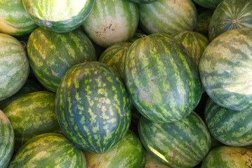Watermelons inside a box on top of each other