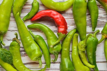 Green caterpillar on green pepper among sweet and bitter pepper.